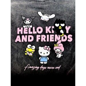 Hello Kitty and Friends Kids Size 9-10 yo Washed Effect Tee Shirt